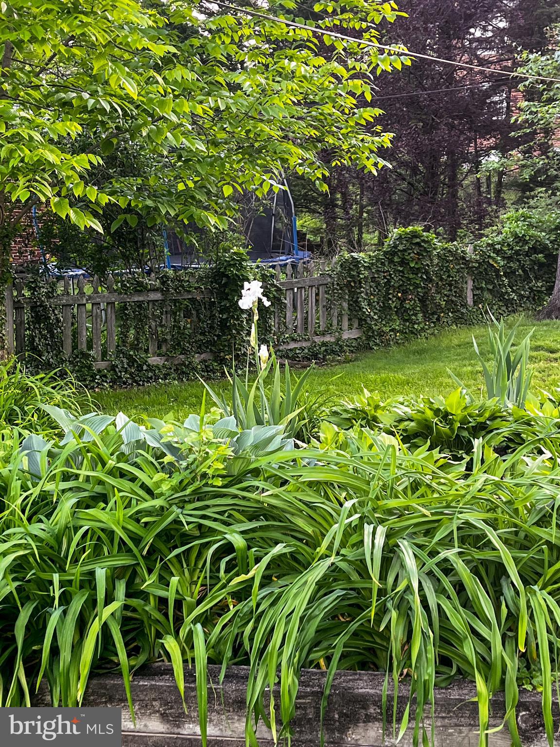 5429 Springlake Way Baltimore, MD 21212 - Photo 51 of 58