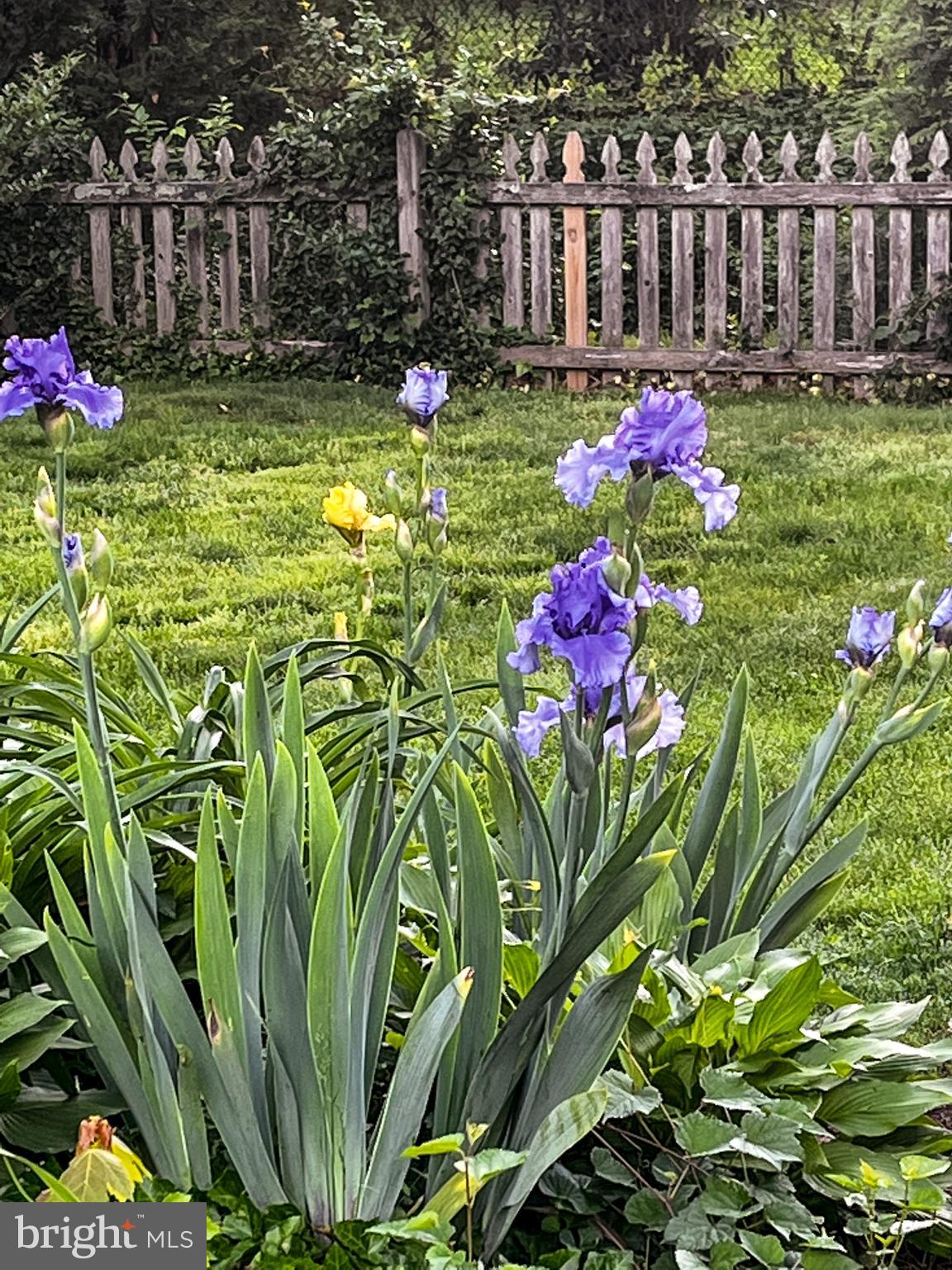 5429 Springlake Way Baltimore, MD 21212 - Photo 52 of 58