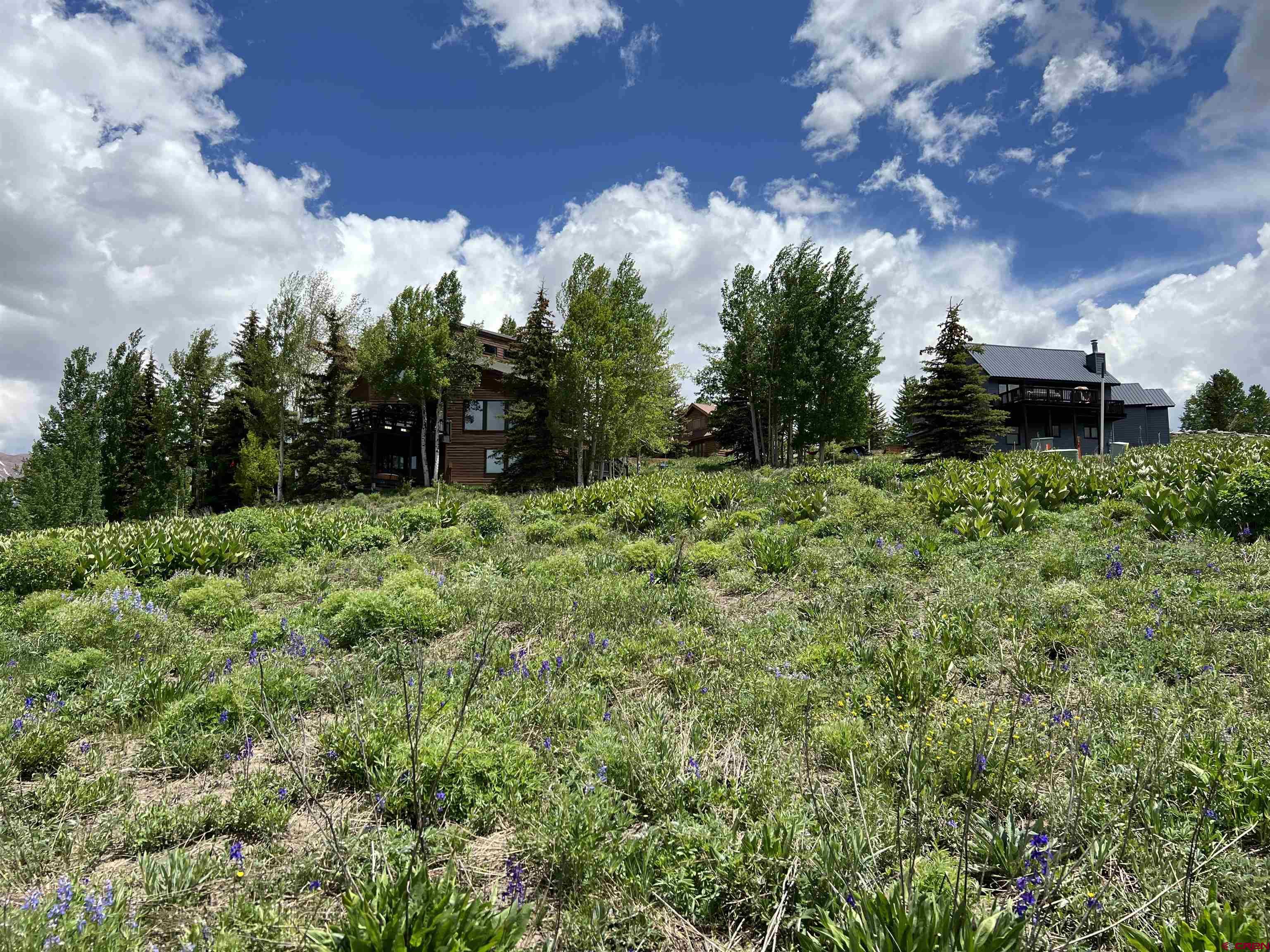 18 Cinnamon Mountain Road Crested Butte, CO 81225 - Photo 11 of 12 a view of a garden with trees