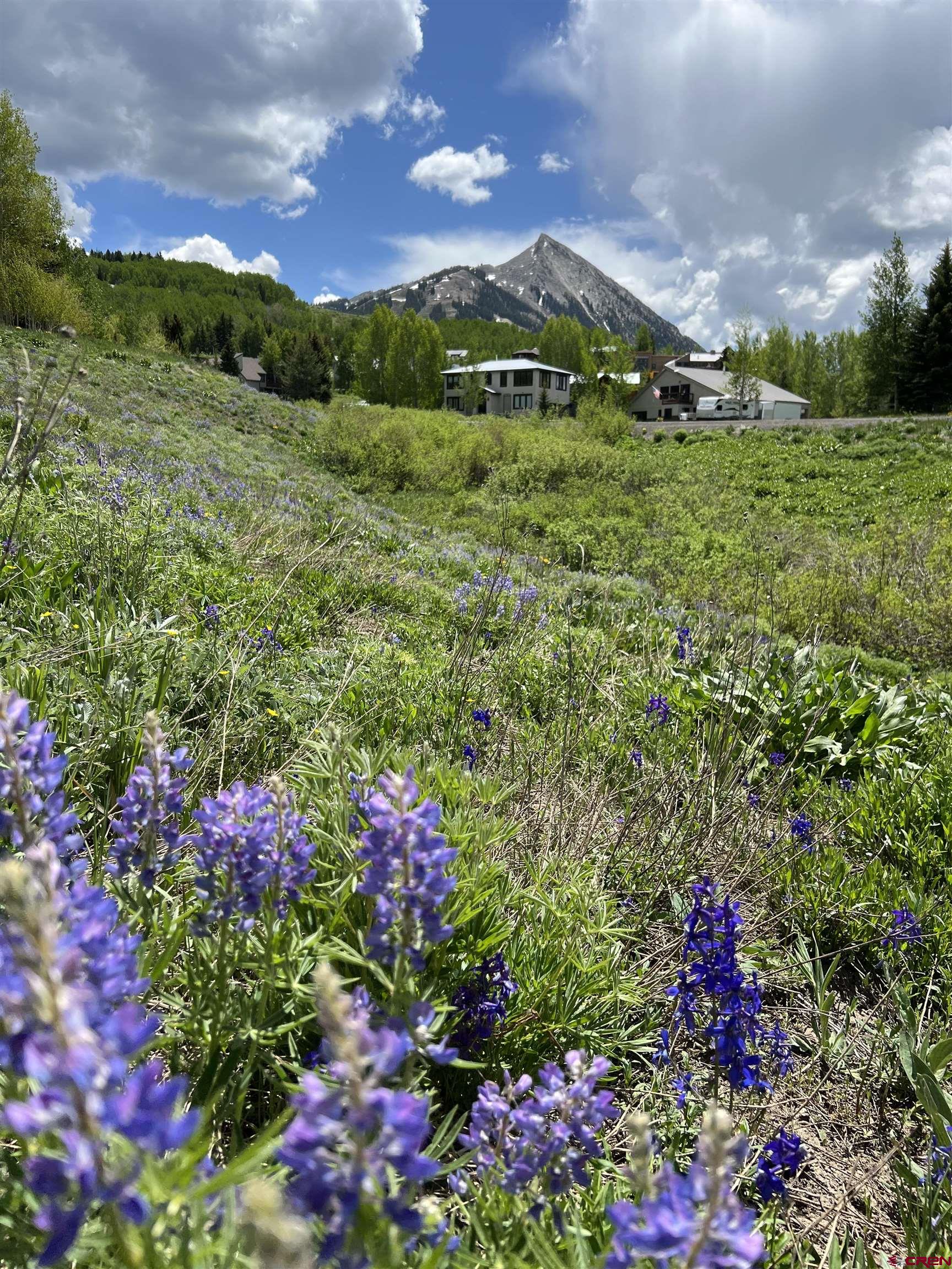 18 Cinnamon Mountain Road Crested Butte, CO 81225 - Photo 2 of 12 a view of a lush green field