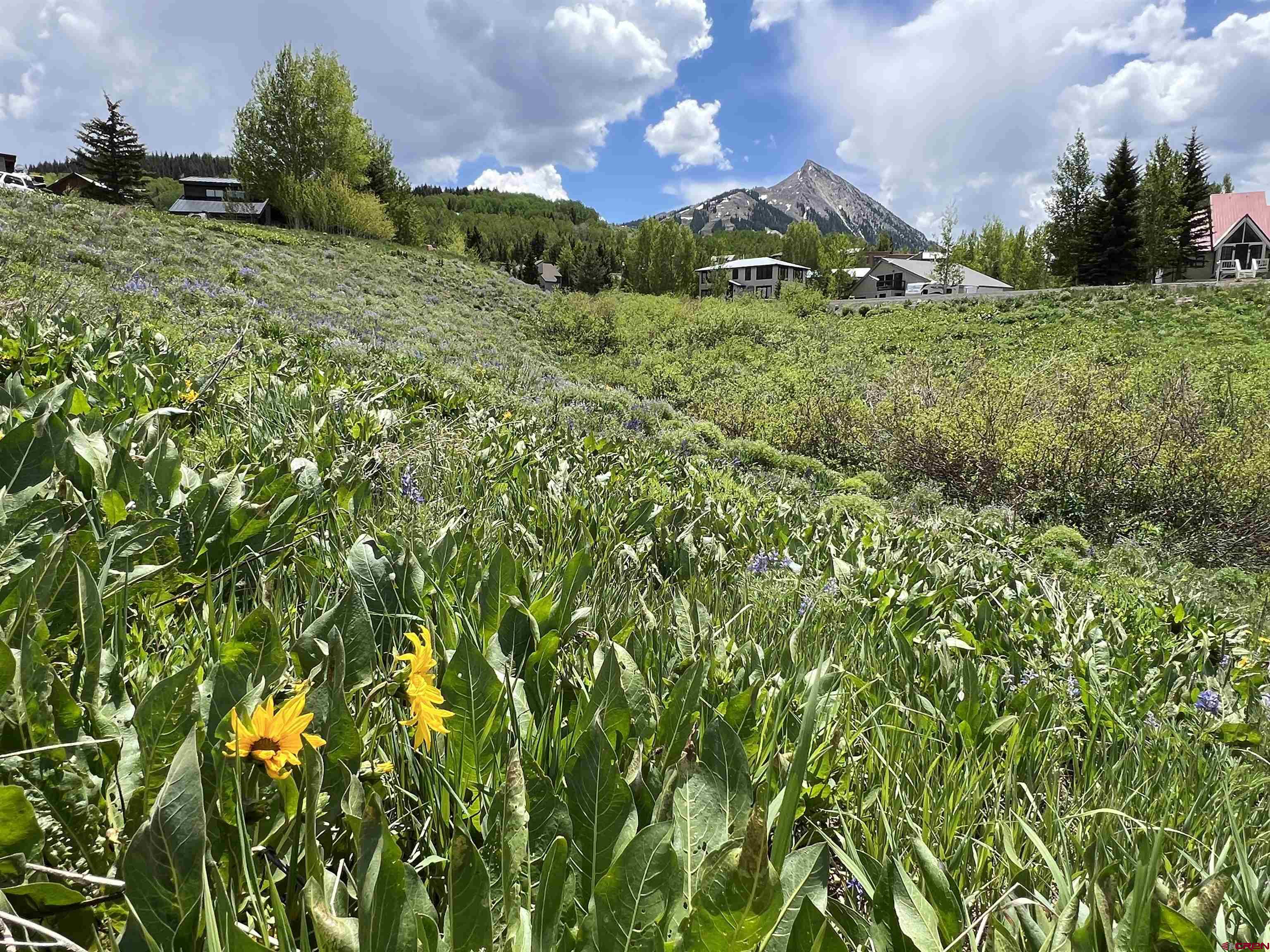 18 Cinnamon Mountain Road Crested Butte, CO 81225 - Photo 3 of 12 a view of a lush green field