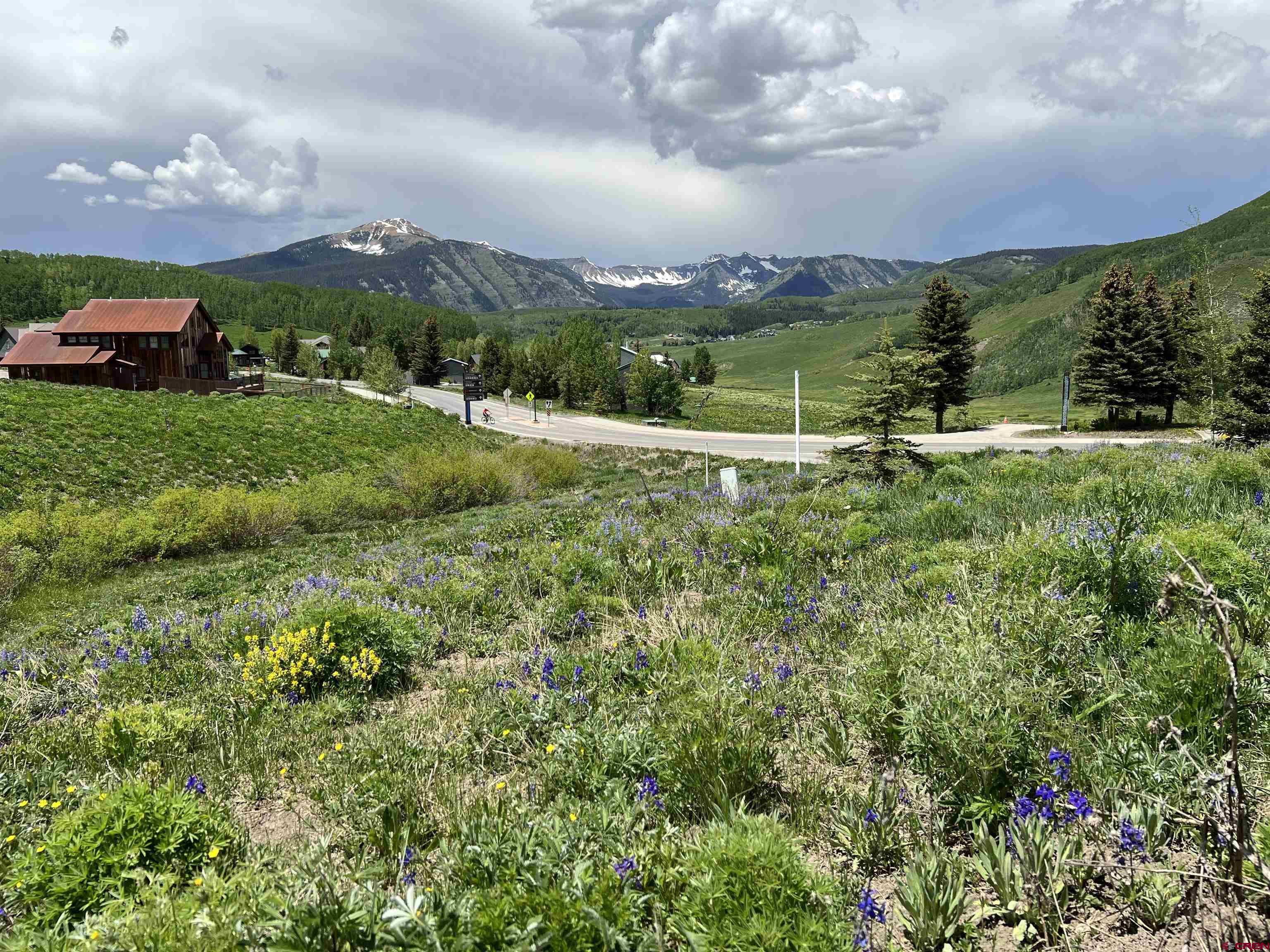 18 Cinnamon Mountain Road Crested Butte, CO 81225 - Photo 4 of 12 a view of a green field with sitting in the background