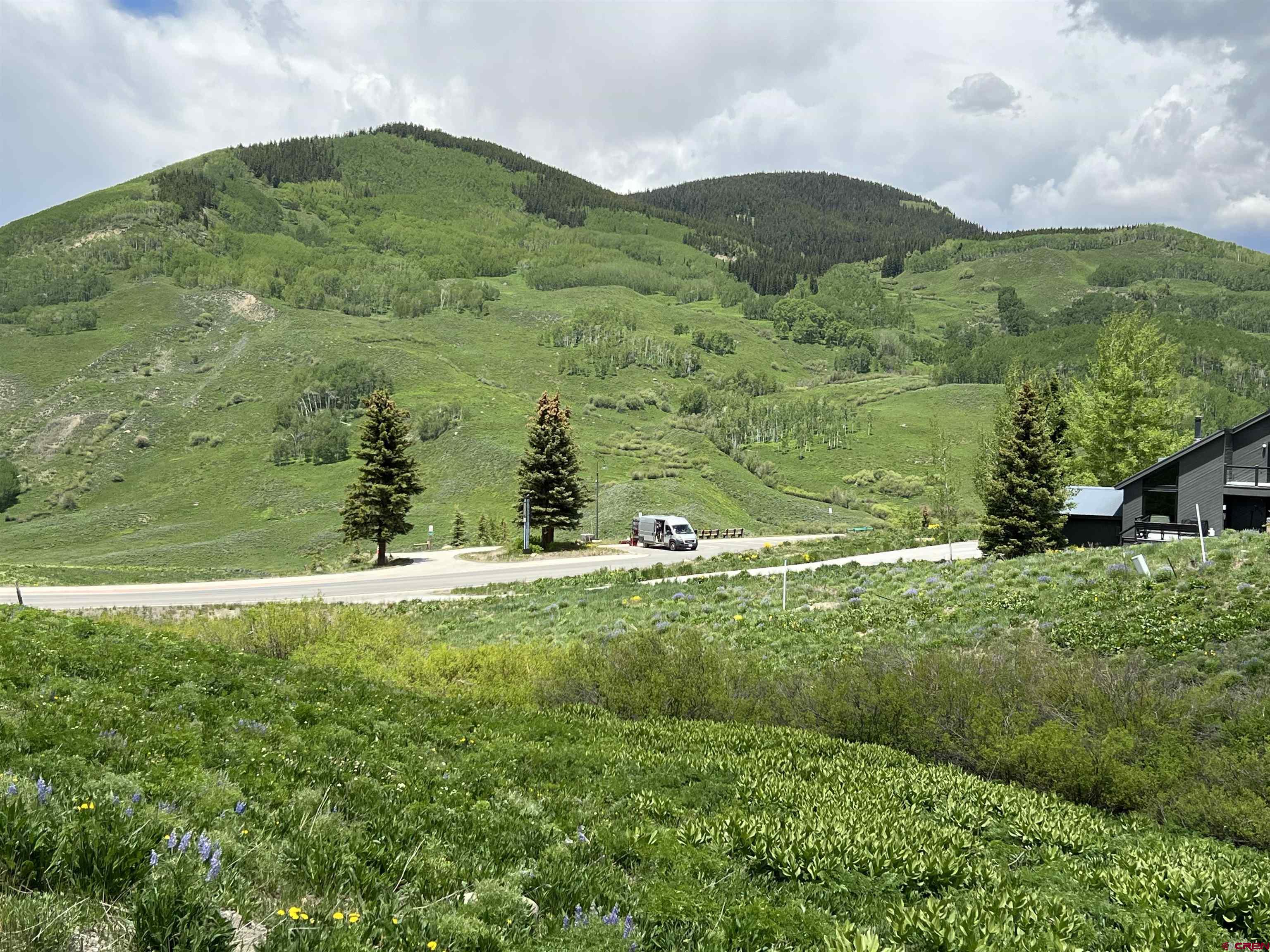 18 Cinnamon Mountain Road Crested Butte, CO 81225 - Photo 5 of 12 a view of a lush green hillside and an houses