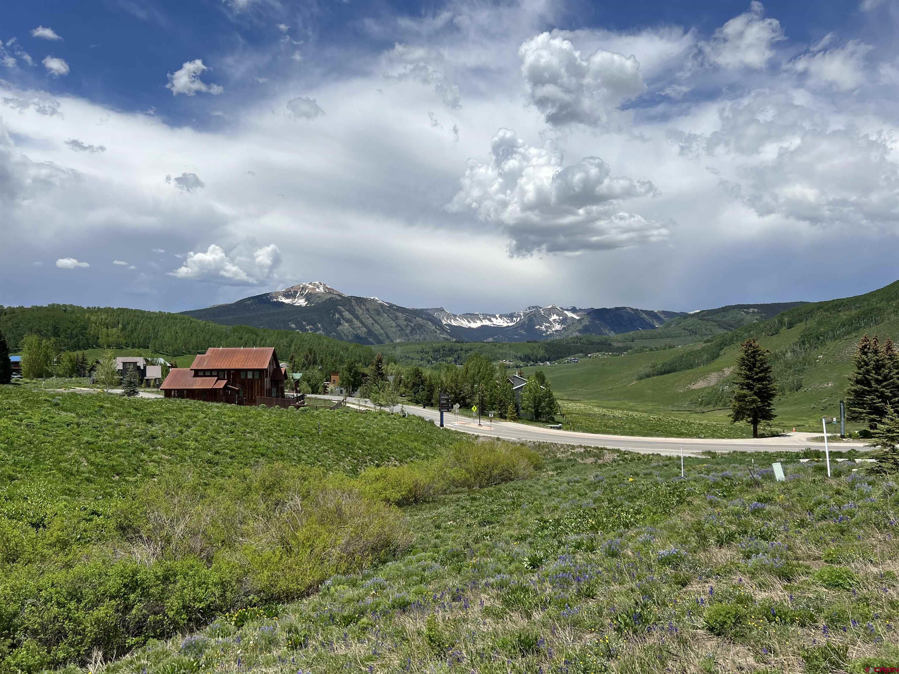 18 Cinnamon Mountain Road Crested Butte, CO 81225 - Photo 6 of 12 a view of outdoor space and yard