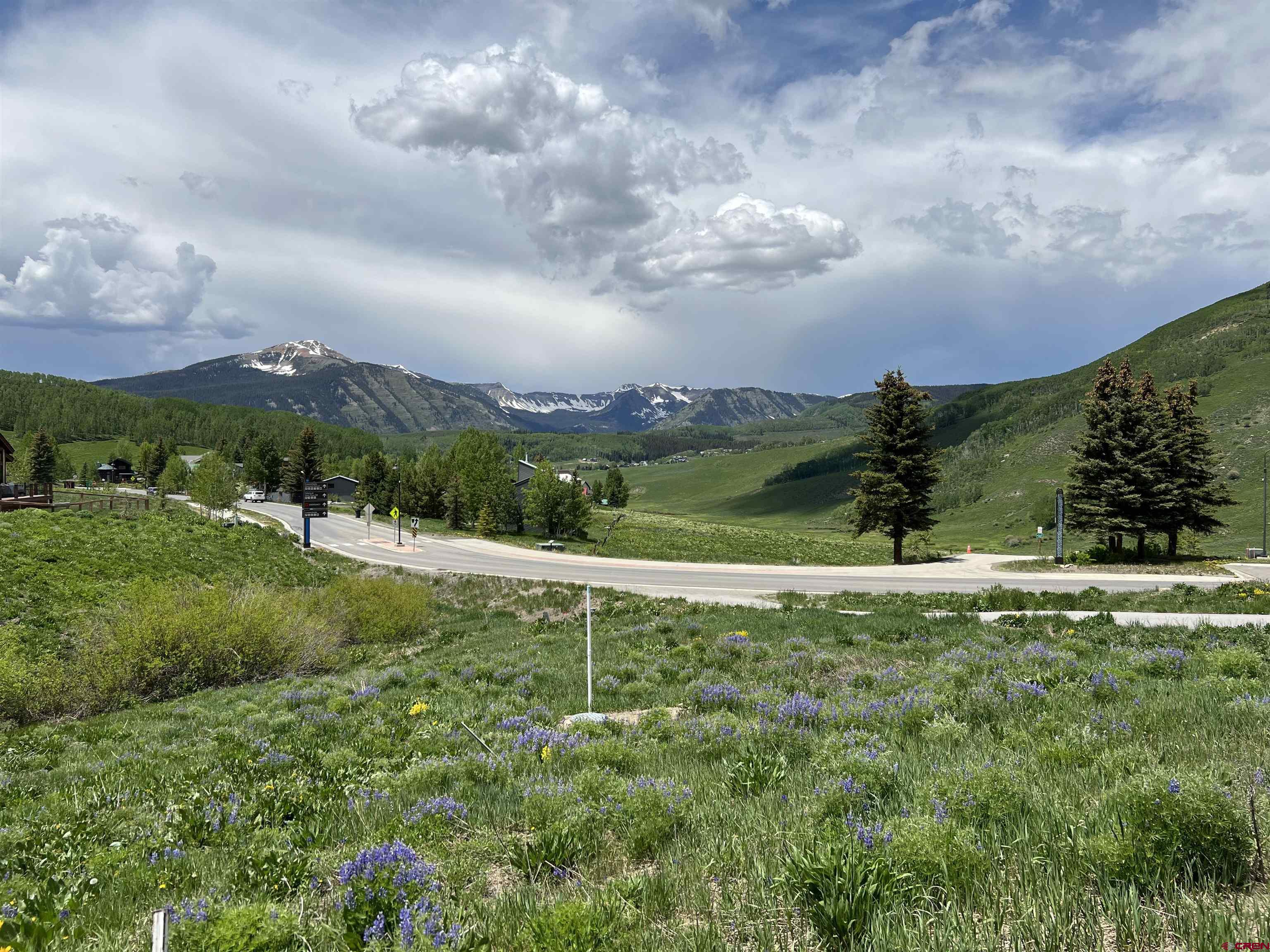 18 Cinnamon Mountain Road Crested Butte, CO 81225 - Photo 7 of 12 a view of a pathway with a big yard