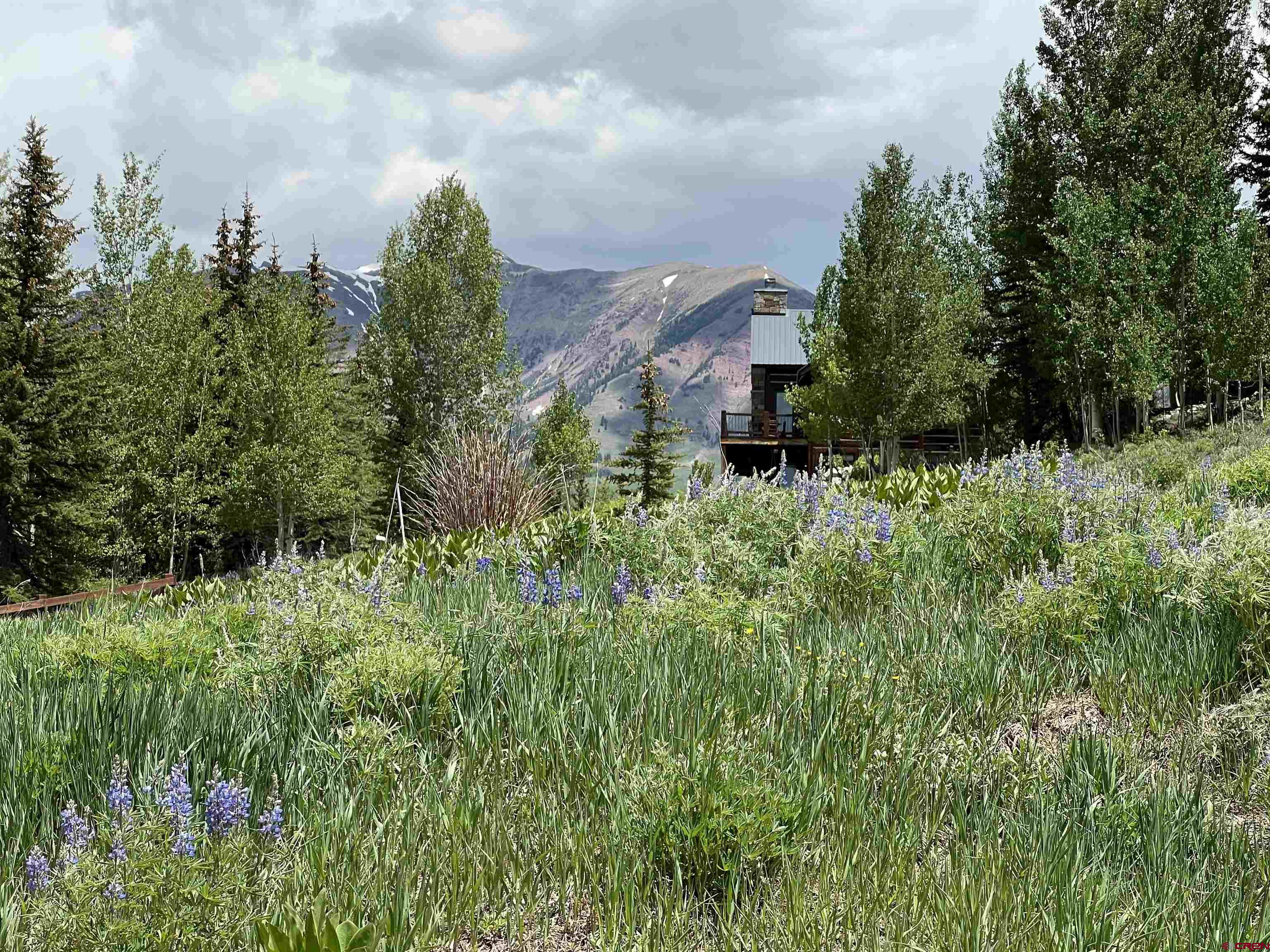 18 Cinnamon Mountain Road Crested Butte, CO 81225 - Photo 8 of 12 a view of a garden