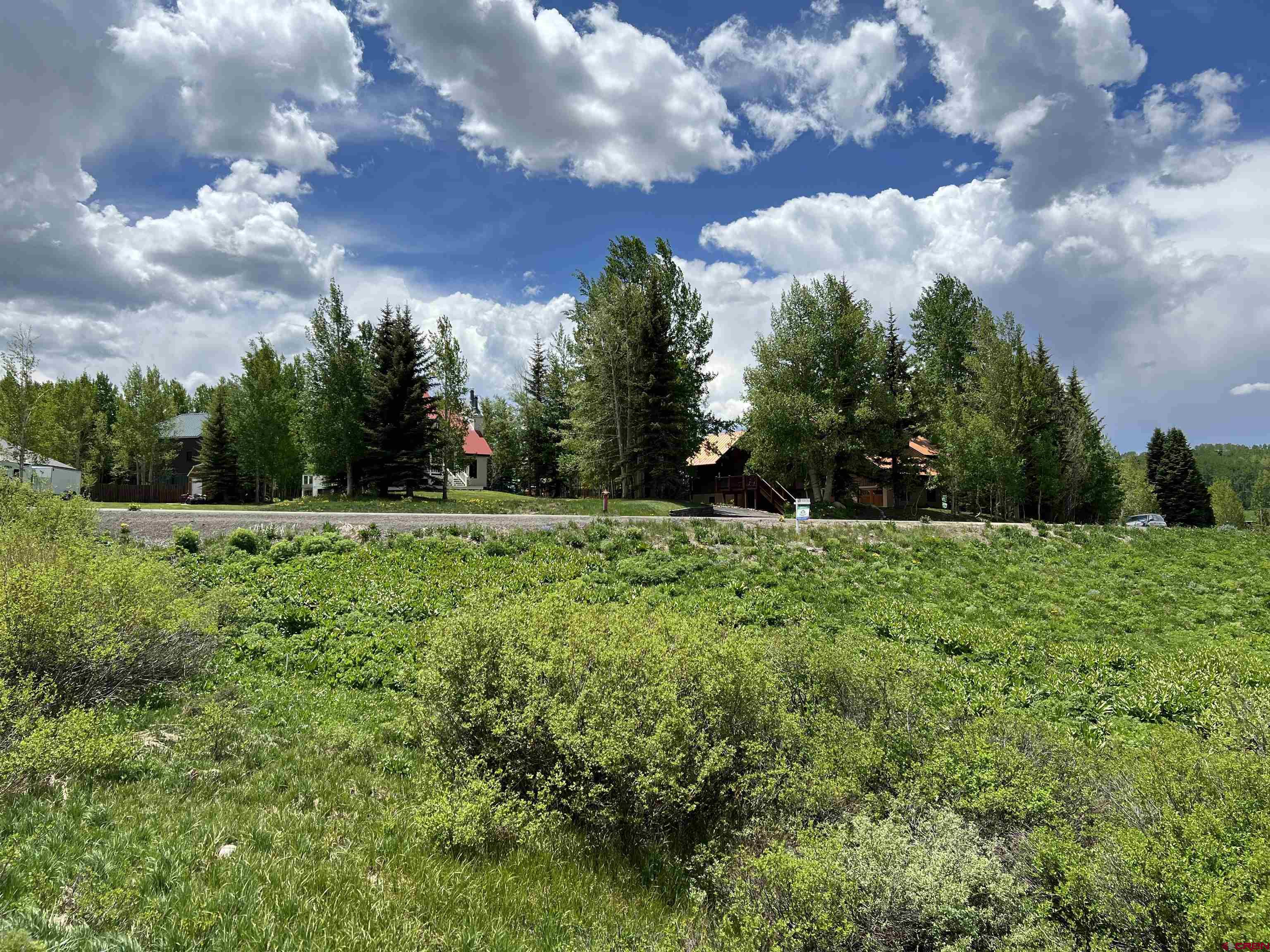 18 Cinnamon Mountain Road Crested Butte, CO 81225 - Photo 10 of 12 a view of grassy field with trees in the background