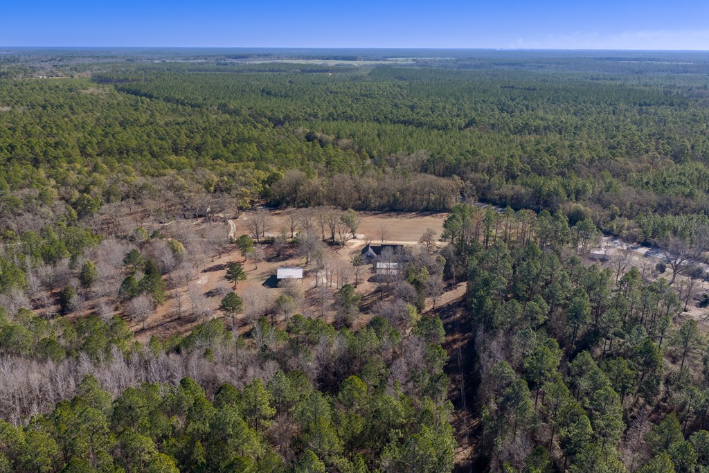 9822 Bill Bass Road Andalusia, AL 36420 - Photo 63 of 71