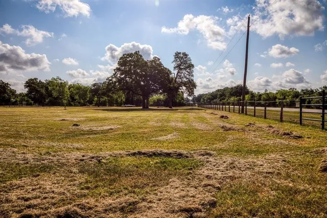 a view of a water with palm trees