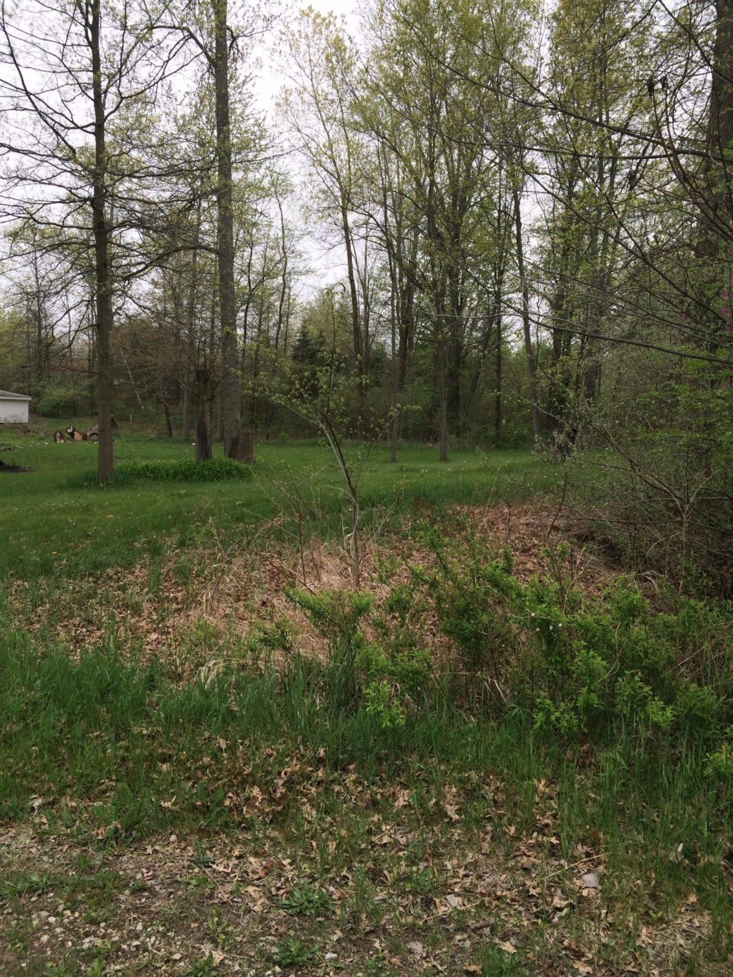 8562 West Newburg Road Carleton, MI 48117 - Photo 8 of 9 Photo 8
