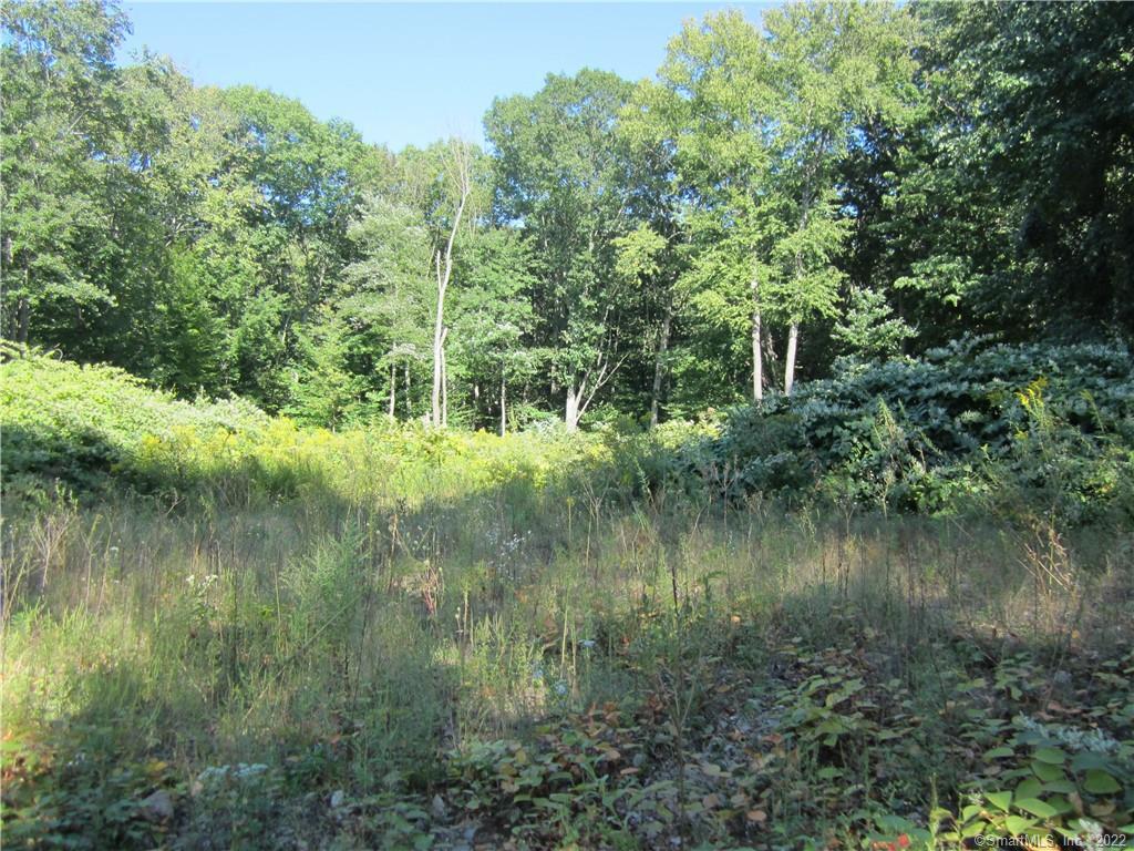 Cleared lot at 547 Birch Mountain Rd, Manchester