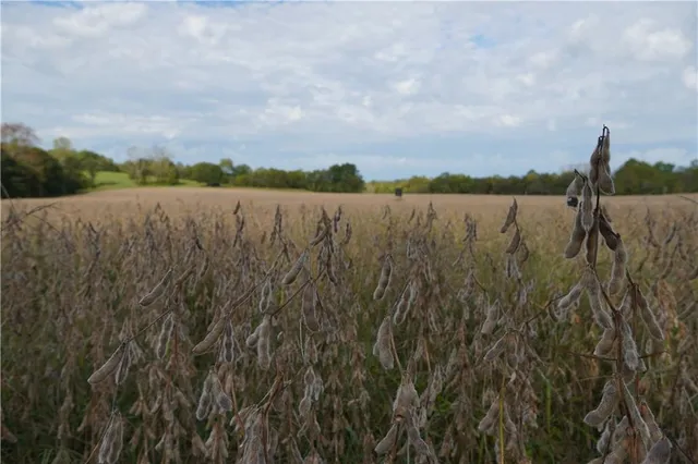 $3,800,000 | 22413 State Hwy C, Lawson, MO 64062