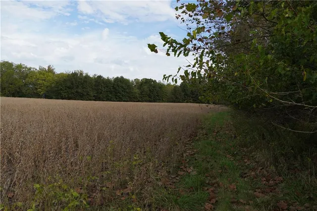 $3,800,000 | 22413 State Hwy C, Lawson, MO 64062