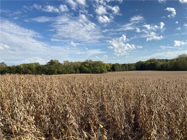 $3,800,000 | 22413 State Hwy C, Lawson, MO 64062