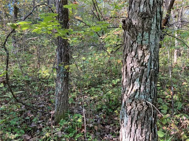 $3,800,000 | 22413 State Hwy C, Lawson, MO 64062