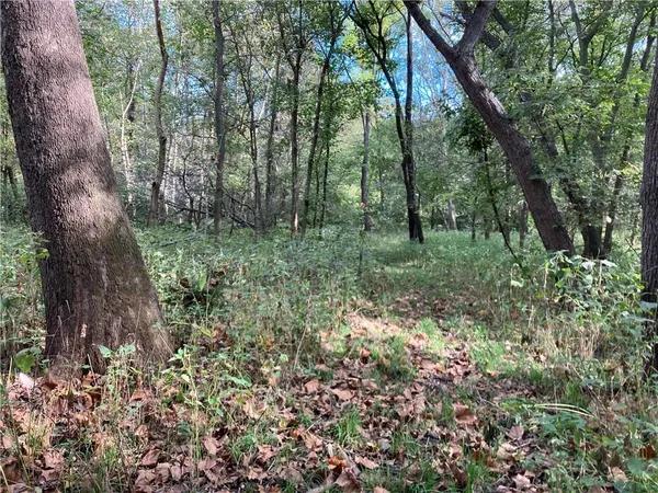$3,800,000 | 22413 State Hwy C, Lawson, MO 64062