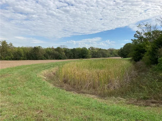 $3,800,000 | 22413 State Hwy C, Lawson, MO 64062