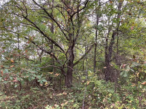 $3,800,000 | 22413 State Hwy C, Lawson, MO 64062