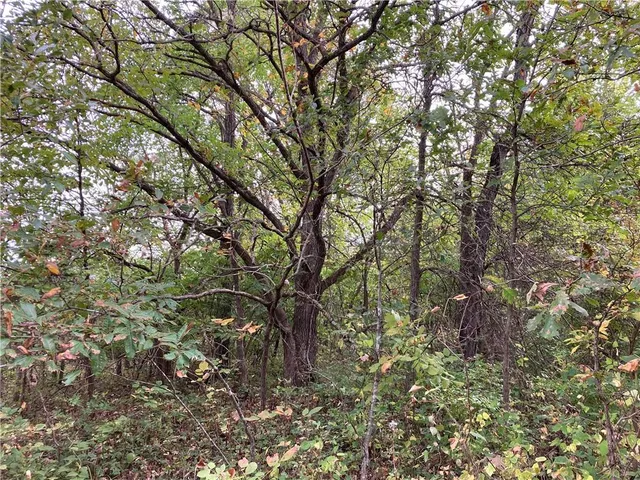 $3,800,000 | 22413 State Hwy C, Lawson, MO 64062