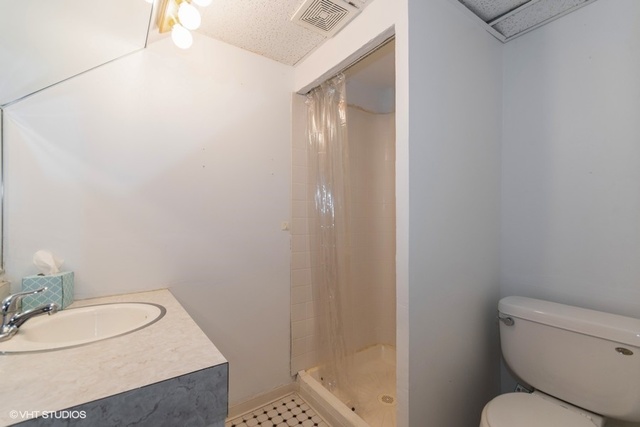304 South 19th Street St. Charles, IL 60174 - Photo 15 of 15