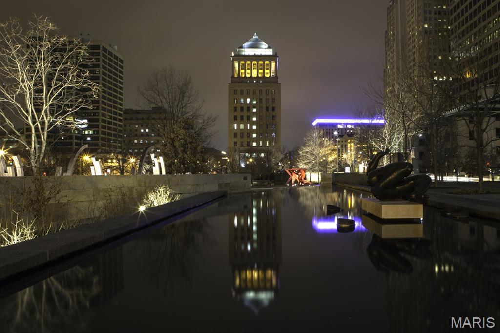 1113 Washington Avenue, Unit 215 St. Louis, MO 63101 - Photo 45 of 49