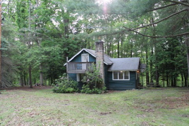 Main View