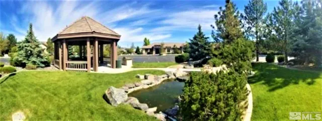 a view of a garden with plants