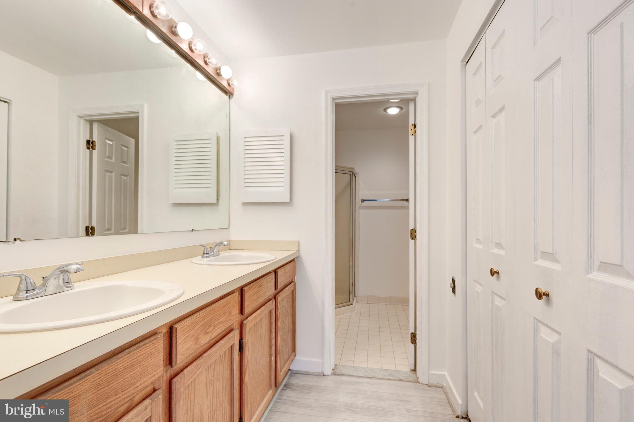 385 Pleasanton Road, Unit B22 Westminster, MD 21157 - Photo 25 of 35 a bathroom with a sink and a mirror