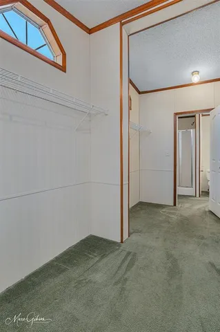 a view of a big room with closet