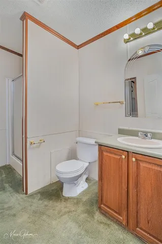 a bathroom with a sink mirror vanity and toilet