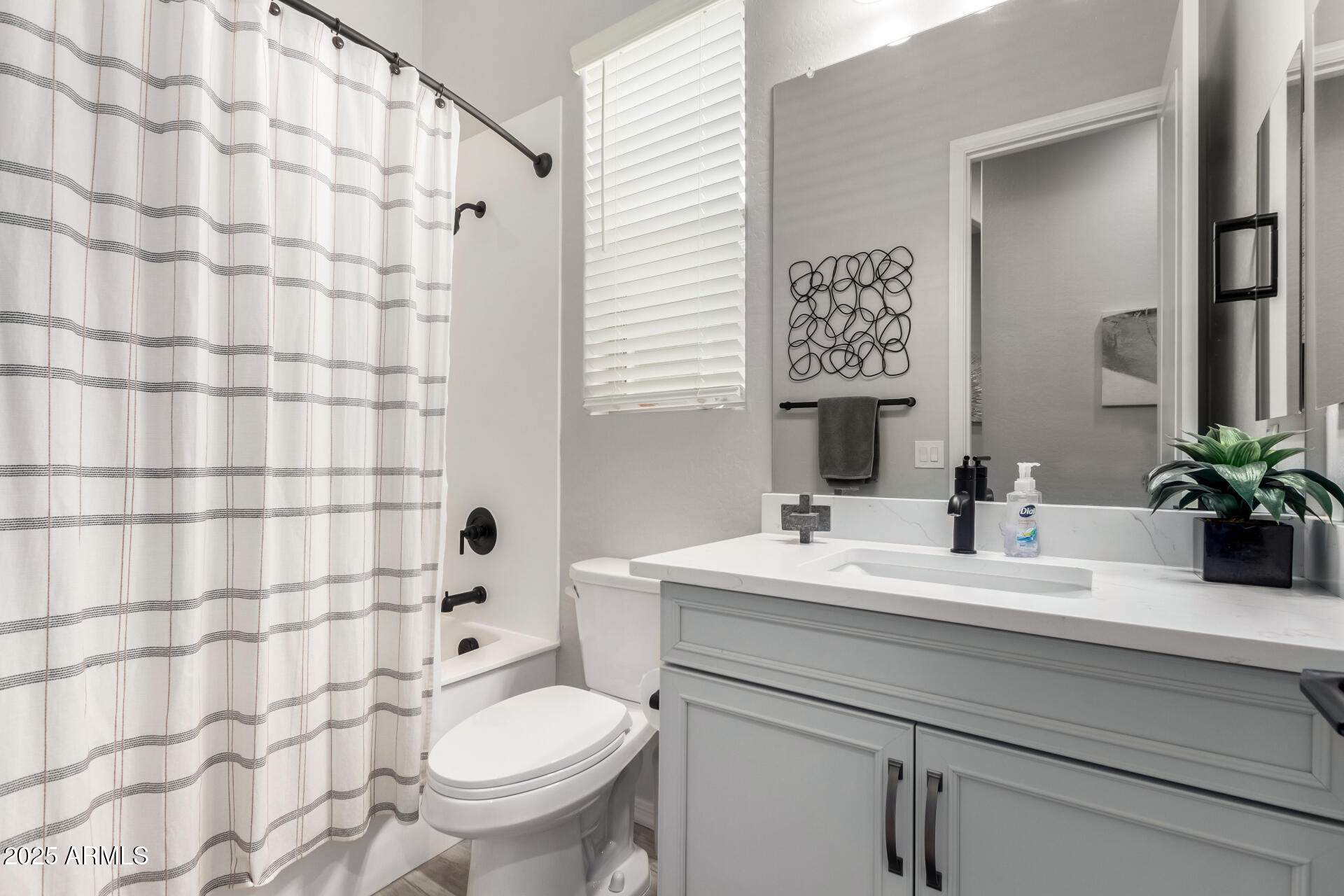 23129 East Carriage Way Queen Creek, AZ 85142 - Photo 28 of 50 a bathroom with a sink a toilet and shower curtain