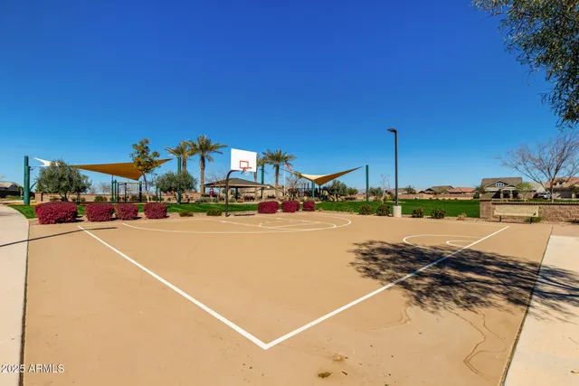 a view of a garden with plants