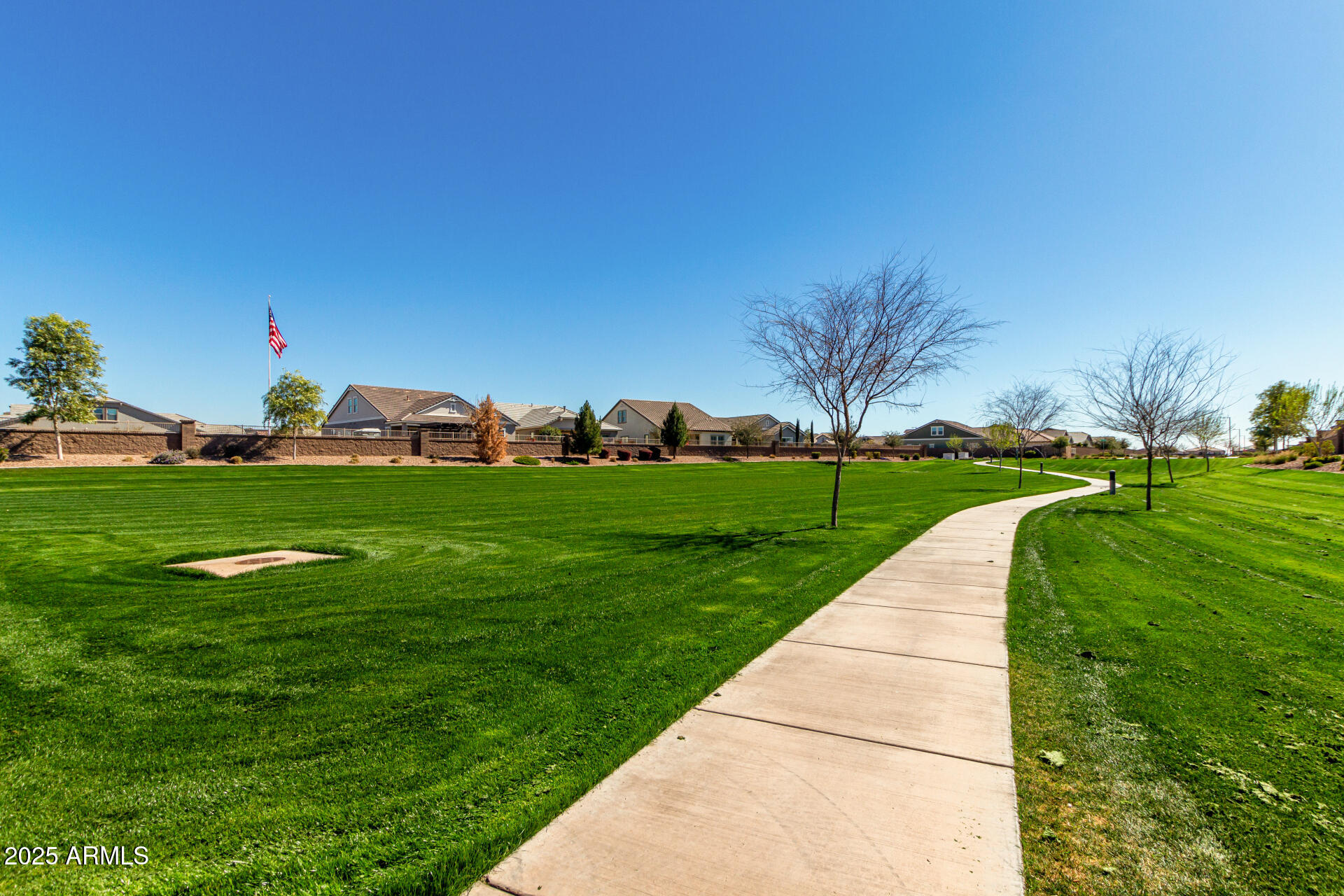 23129 East Carriage Way Queen Creek, AZ 85142 - Photo 50 of 50 a view of a garden with plants