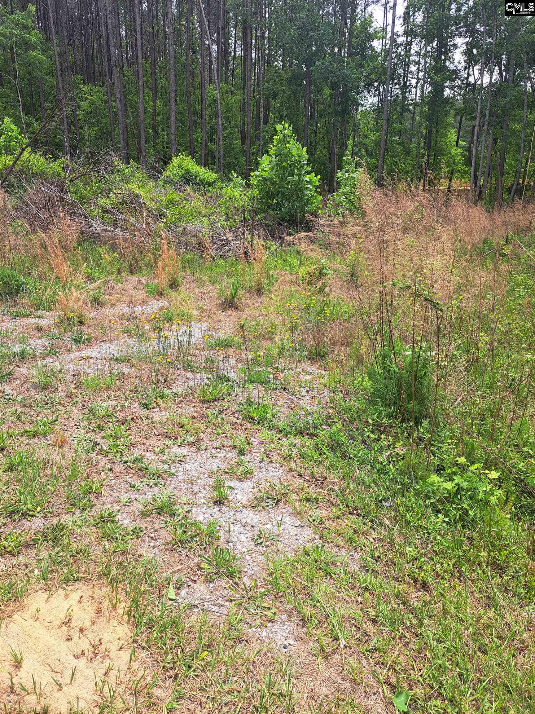 460 Grover Wilson Road Blythewood, SC 29016 - Photo 13 of 19