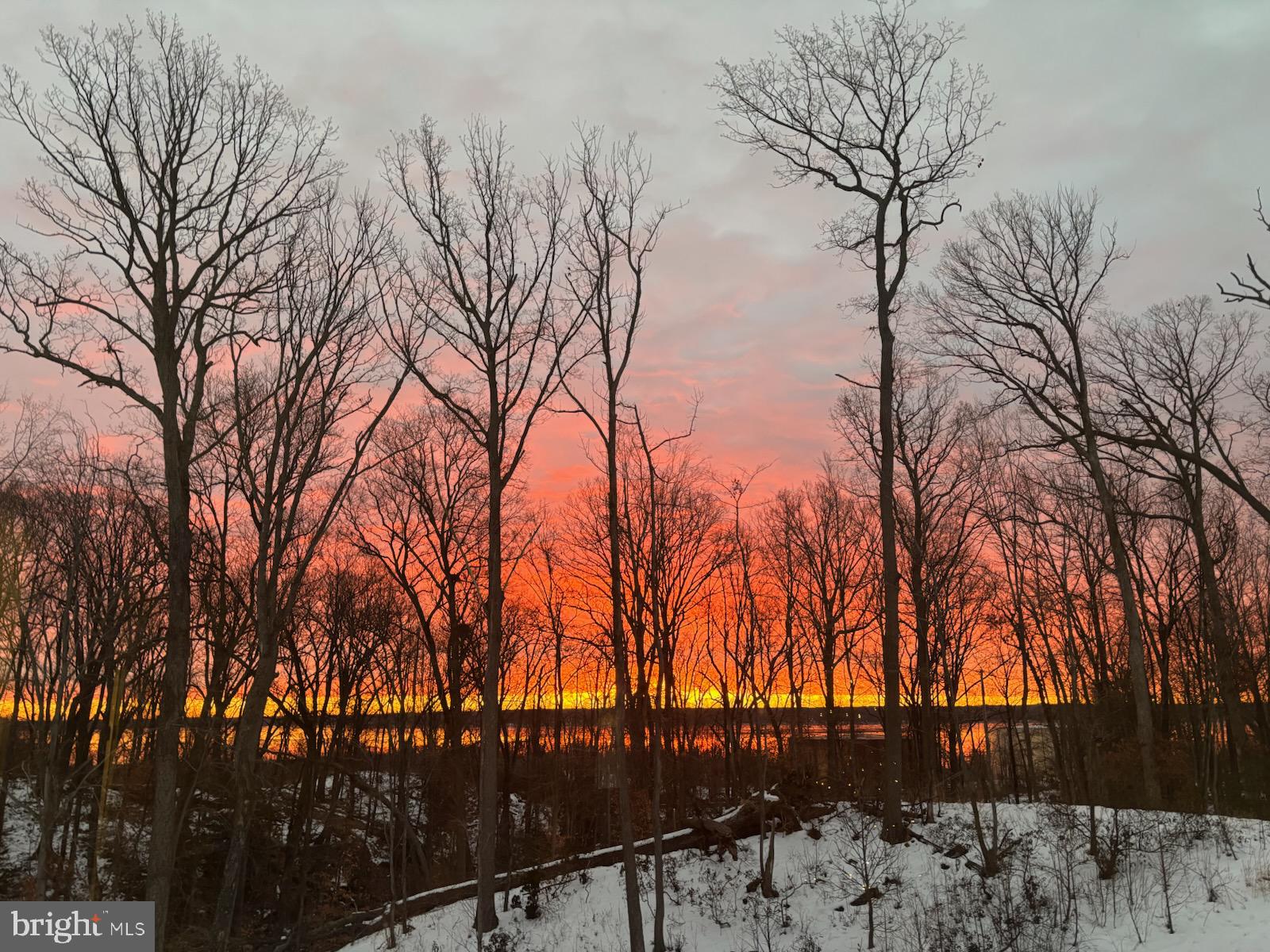 18320 Moss Garden Road Dumfries, VA 22026 - Photo 2 of 50 sun rise view from the living room!