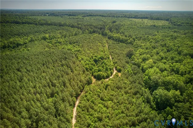 a view of a green field with lots of bushes