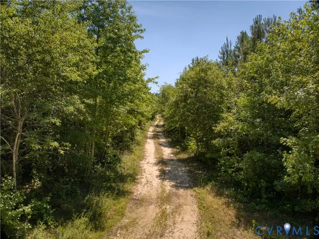a view of water with a tree