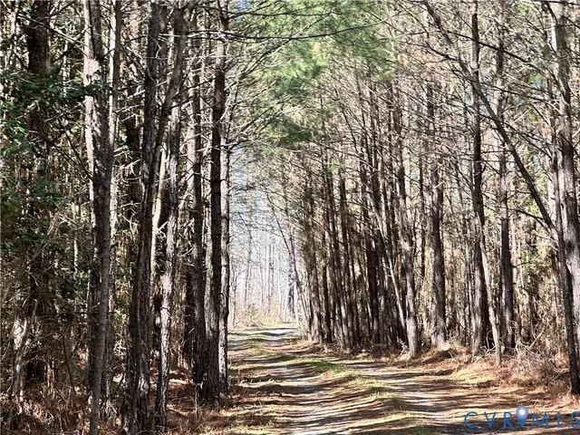 a view of outdoor space with yard