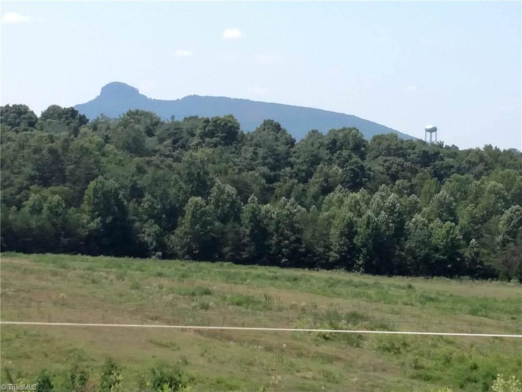 785 Carson Road Pilot Mountain, NC 27041 - Photo 2 of 30 Backyard view of Pilot Mountain.