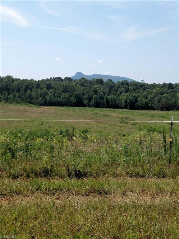 785 Carson Road Pilot Mountain, NC 27041 - Photo 3 of 30 View from back porch