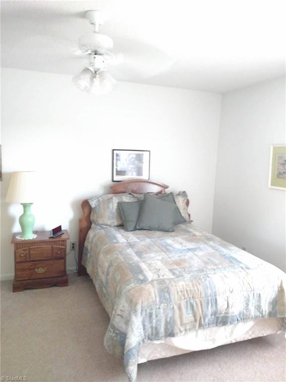 785 Carson Road Pilot Mountain, NC 27041 - Photo 25 of 30 3rd Bedroom