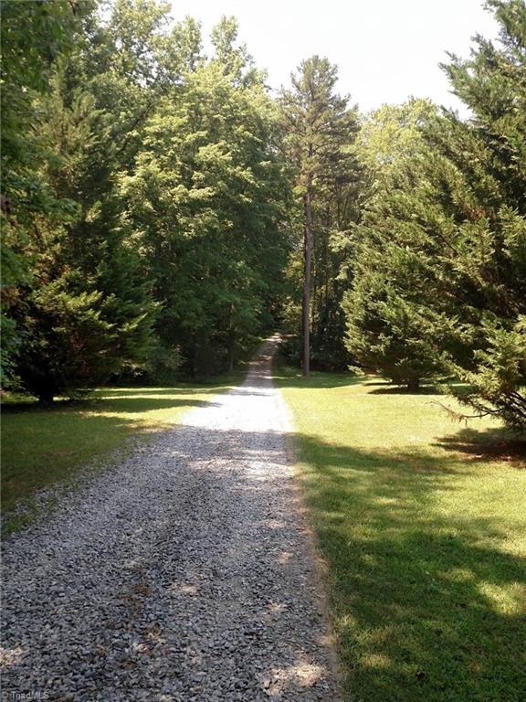 785 Carson Road Pilot Mountain, NC 27041 - Photo 5 of 30 Privacy!!! View going toward the house on drive from Carson Rd.