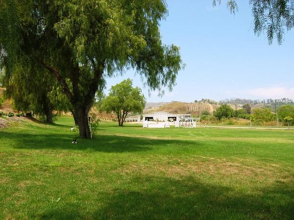 9401 Stockton Road Moorpark, CA 93021 - Photo 1 of 14 a view of grassy field with trees