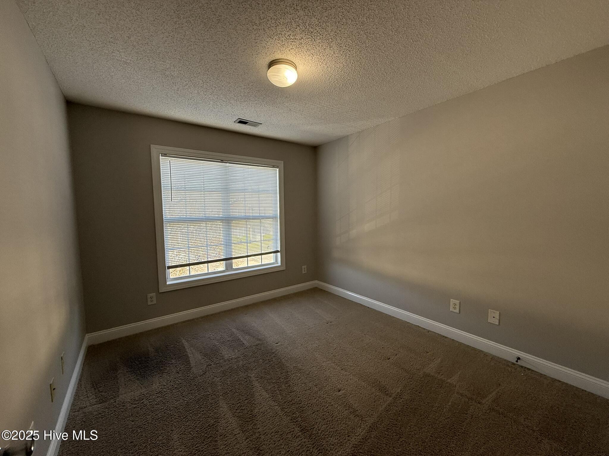 4215 Dudleys Grant Drive, Unit F Winterville, NC 28590 - Photo 18 of 19 99