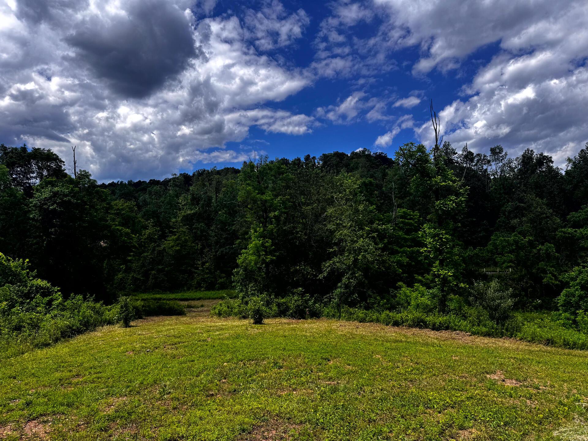 0 Barr Hollow Road Reedsville, OH 45772 - Photo 11 of 15 CT-11
