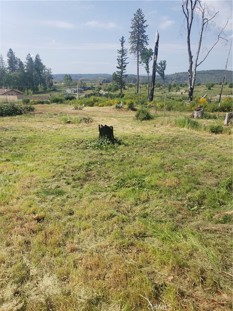 6378 Murray Lane Paradise, CA 95969 - Photo 2 of 11