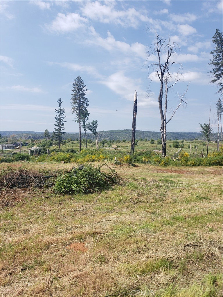 6378 Murray Lane Paradise, CA 95969 - Photo 3 of 11