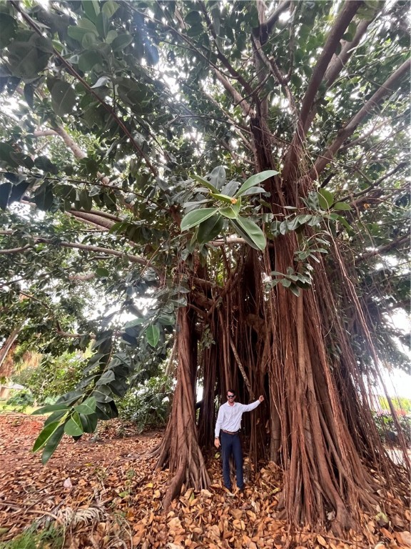 753 South Fischer Circle Sebastian, FL 32958 - Photo 22 of 22