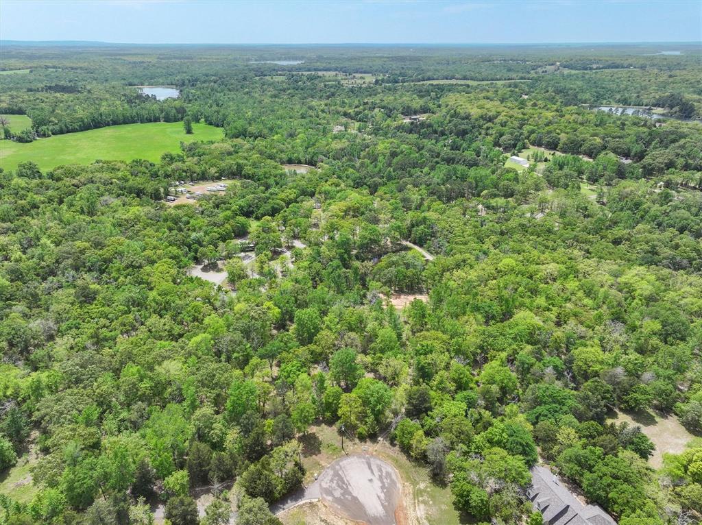 8950 Timber Ridge Larue, TX 75770 - Photo 11 of 12 a view of a big yard with lots of green space