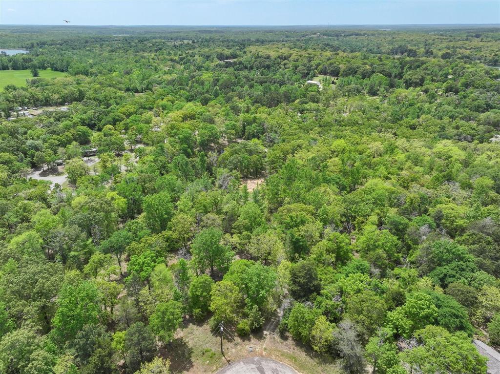 8950 Timber Ridge Larue, TX 75770 - Photo 12 of 12 a view of a large yard with lots of green space and deers
